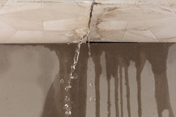 Professional Flood Damage Cleanup technician working in Mount Kisco, NY